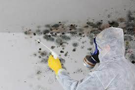 Biohazard Mold Removal in Lauderdale By The Sea, FL